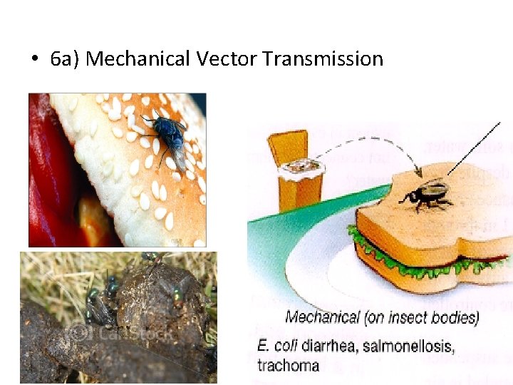  • 6 a) Mechanical Vector Transmission 