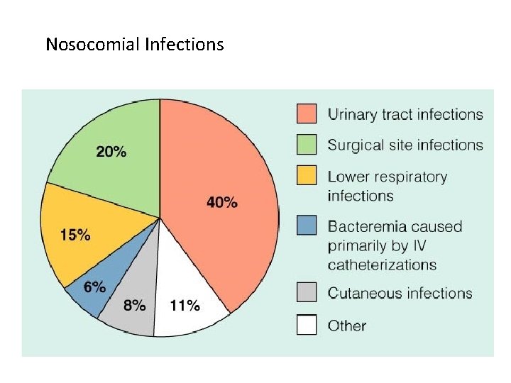 Nosocomial Infections 