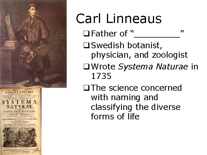Carl Linneaus q Father of “_____” q Swedish botanist, physician, and zoologist q Wrote