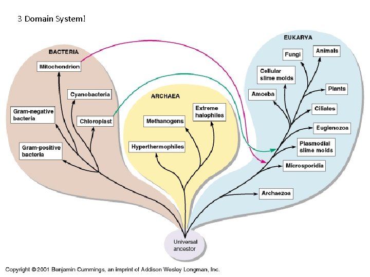 3 Domain System! Figure 10. 1 
