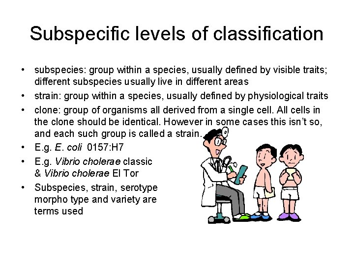 Subspecific levels of classification • subspecies: group within a species, usually defined by visible