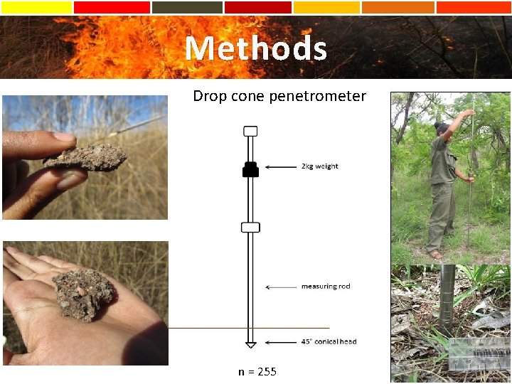 Methods Drop cone penetrometer n = 255 