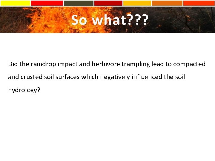 So what? ? ? Did the raindrop impact and herbivore trampling lead to compacted