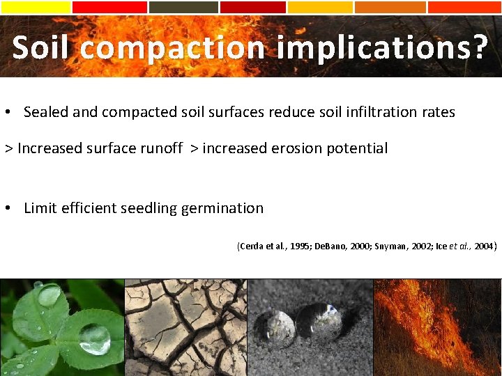 Soil compaction implications? • Sealed and compacted soil surfaces reduce soil infiltration rates >