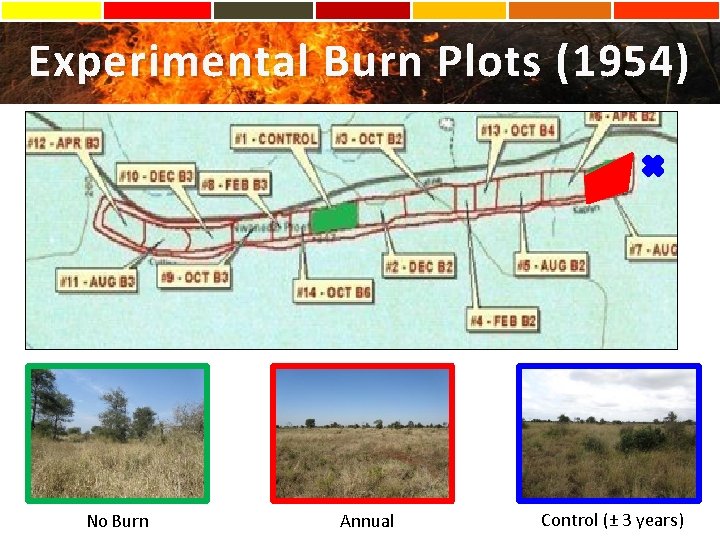 Experimental Burn Plots (1954) 5 No Burn Annual Control (± 3 years) 