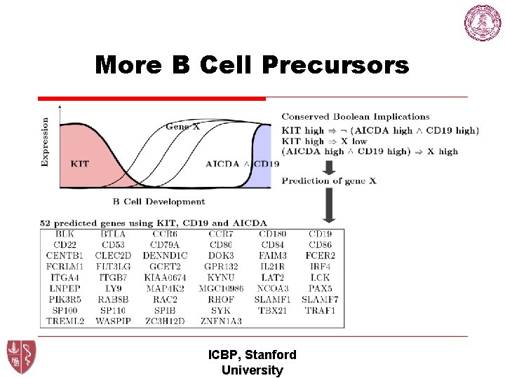 More B Cell Precursors ICBP, Stanford University 