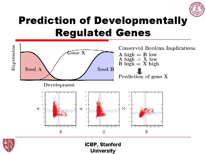 X A A Prediction of Developmentally Regulated Genes B X ICBP, Stanford University B