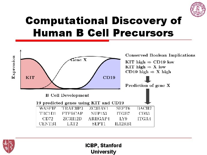 Computational Discovery of Human B Cell Precursors ICBP, Stanford University 