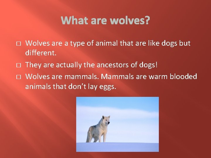 What are wolves? � � � Wolves are a type of animal that are