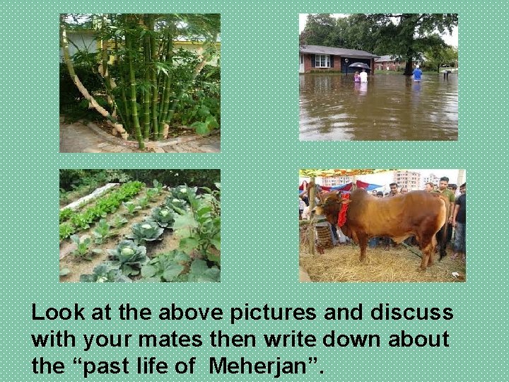 Look at the above pictures and discuss with your mates then write down about