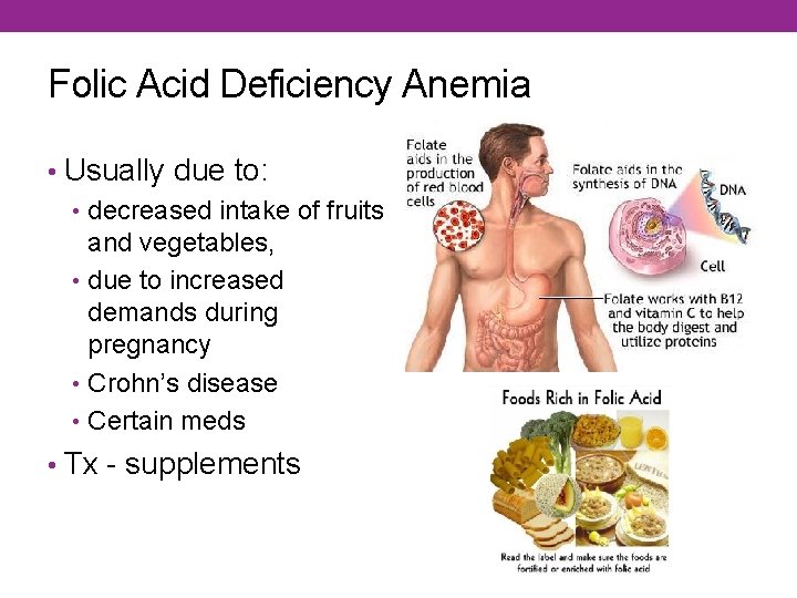 Folic Acid Deficiency Anemia • Usually due to: • decreased intake of fruits and