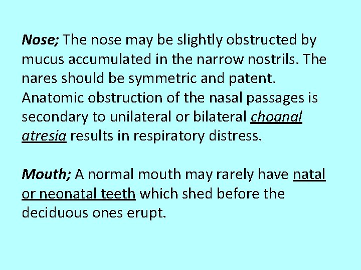 Nose; The nose may be slightly obstructed by mucus accumulated in the narrow nostrils.