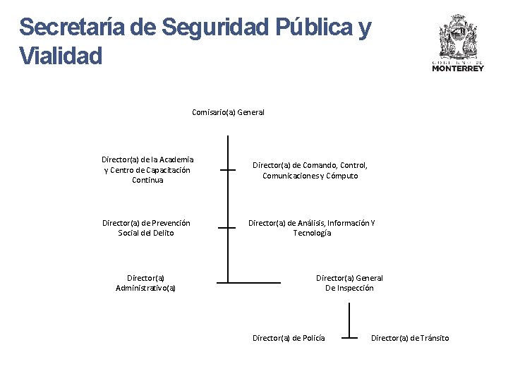 Secretaría de Seguridad Pública y Vialidad Comisario(a) General Director(a) de la Academia y Centro