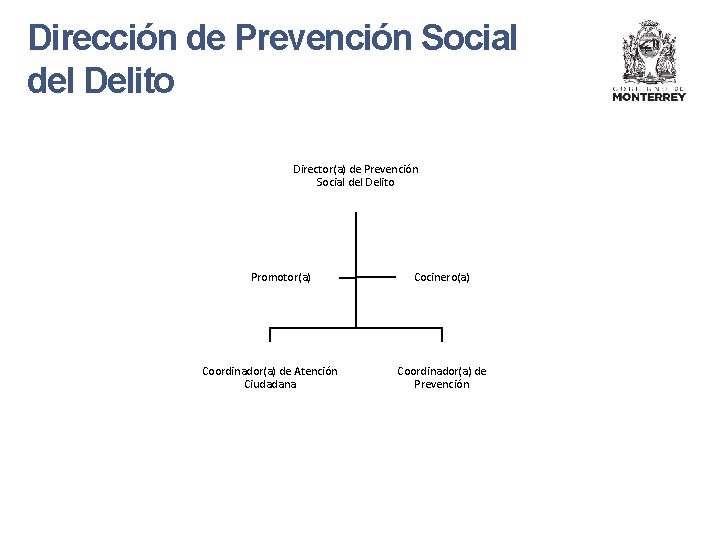 Dirección de Prevención Social del Delito Director(a) de Prevención Social del Delito Promotor(a) Coordinador(a)