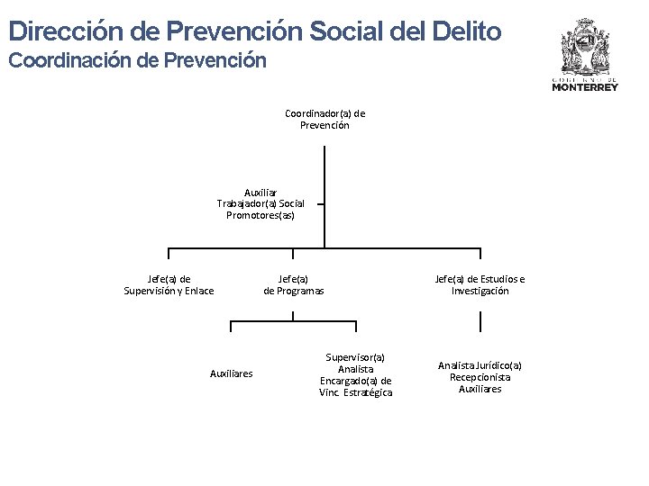 Dirección de Prevención Social del Delito Coordinación de Prevención Coordinador(a) de Prevención Auxiliar Trabajador(a)