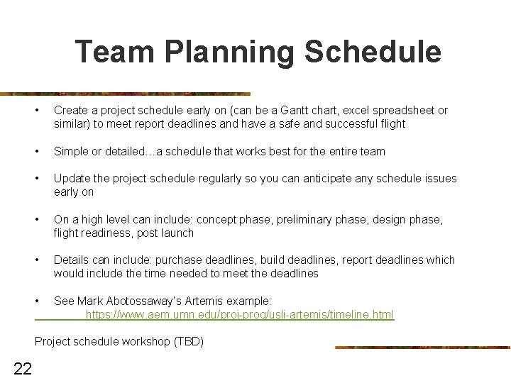 Team Planning Schedule • Create a project schedule early on (can be a Gantt