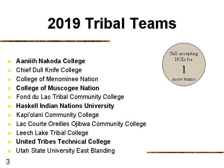 2019 Tribal Teams n n n 3 Aaniiih Nakoda College Chief Dull Knife College