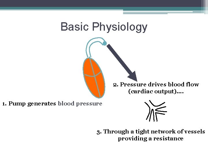 Basic Physiology 2. Pressure drives blood flow (cardiac output)…. 1. Pump generates blood pressure
