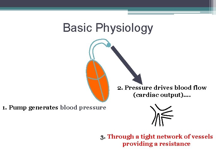 Basic Physiology 2. Pressure drives blood flow (cardiac output)…. 1. Pump generates blood pressure