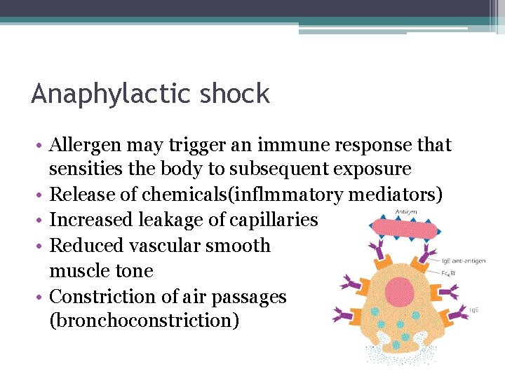 Anaphylactic shock • Allergen may trigger an immune response that sensities the body to