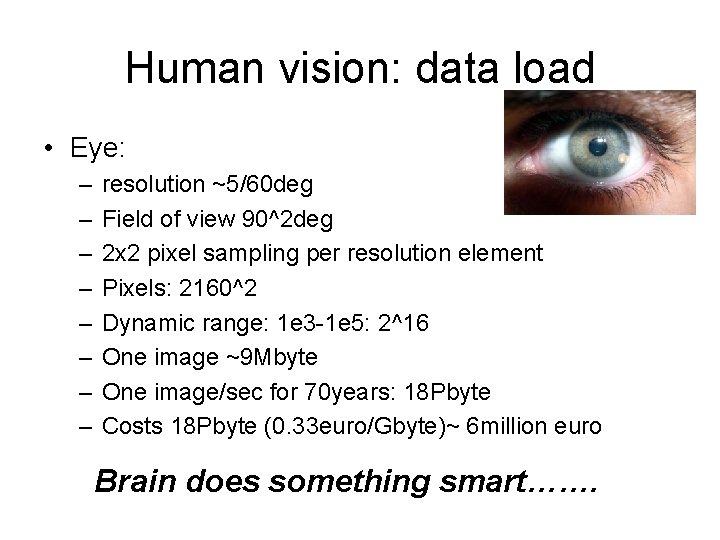 Human vision: data load • Eye: – – – – resolution ~5/60 deg Field