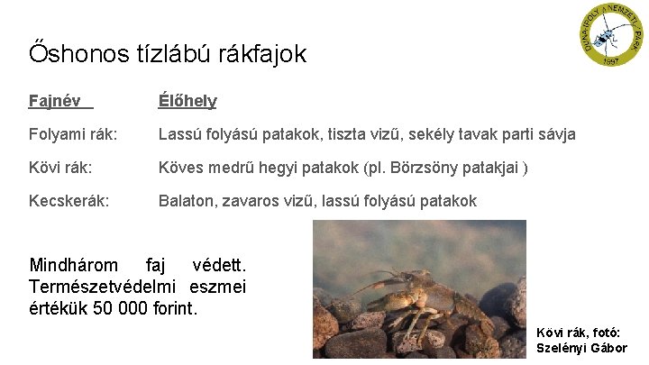 Őshonos tízlábú rákfajok Fajnév Élőhely Folyami rák: Lassú folyású patakok, tiszta vizű, sekély tavak