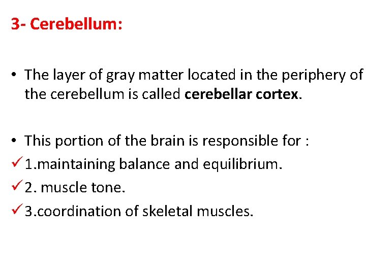 3 - Cerebellum: • The layer of gray matter located in the periphery of