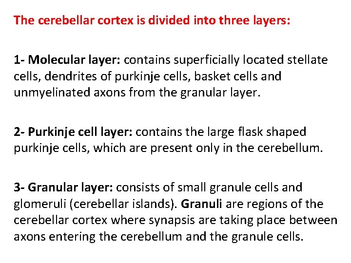 The cerebellar cortex is divided into three layers: 1 - Molecular layer: contains superficially