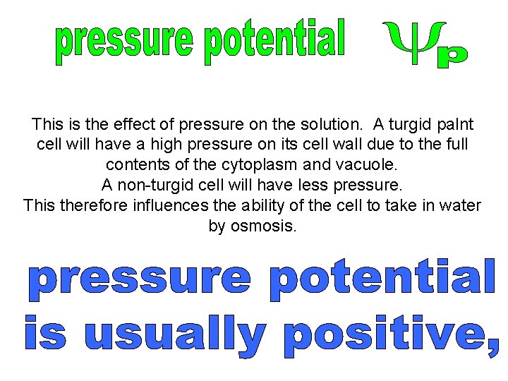 This is the effect of pressure on the solution. A turgid palnt cell will