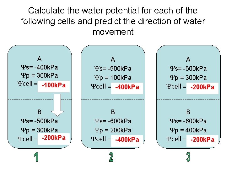 Calculate the water potential for each of the following cells and predict the direction