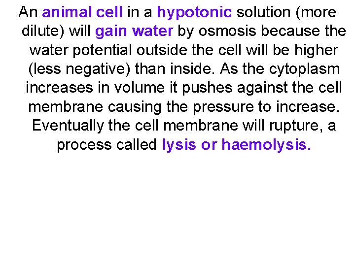An animal cell in a hypotonic solution (more dilute) will gain water by osmosis