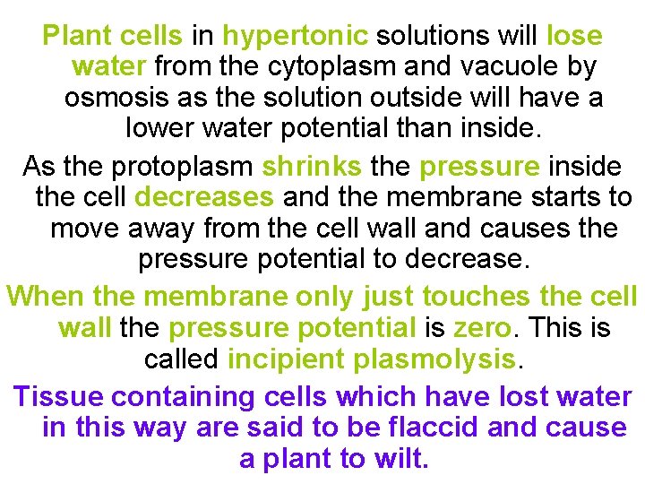 Plant cells in hypertonic solutions will lose water from the cytoplasm and vacuole by
