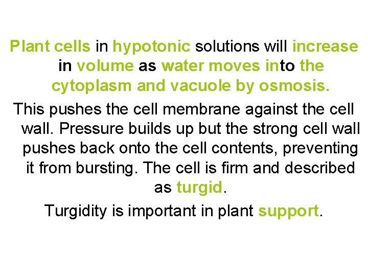 Plant cells in hypotonic solutions will increase in volume as water moves into the