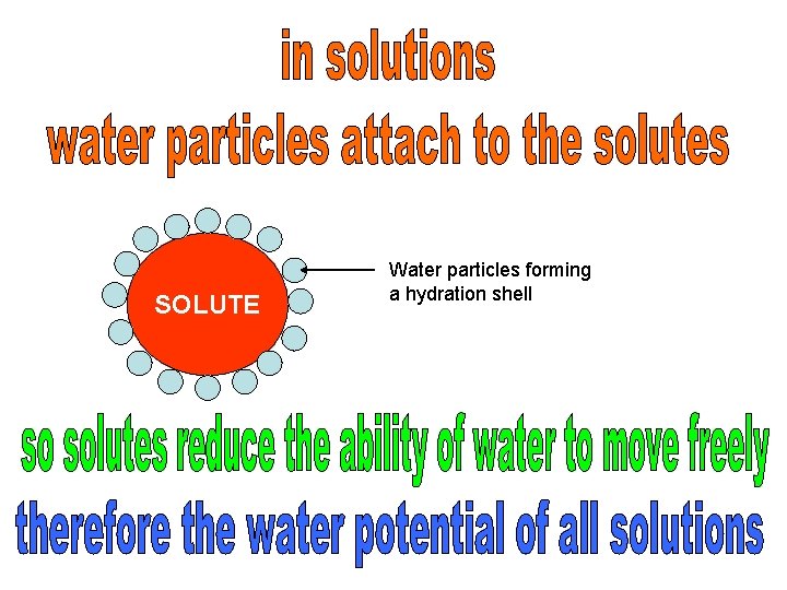 SOLUTE Water particles forming a hydration shell 