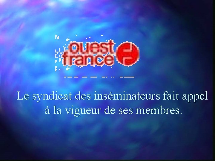 Le syndicat des inséminateurs fait appel à la vigueur de ses membres. 
