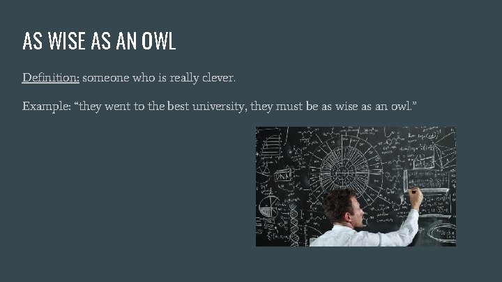 AS WISE AS AN OWL Definition: someone who is really clever. Example: “they went