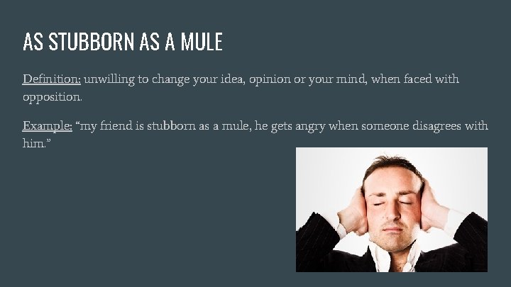 AS STUBBORN AS A MULE Definition: unwilling to change your idea, opinion or your