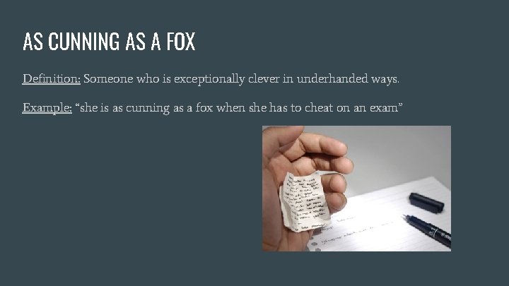 AS CUNNING AS A FOX Definition: Someone who is exceptionally clever in underhanded ways.