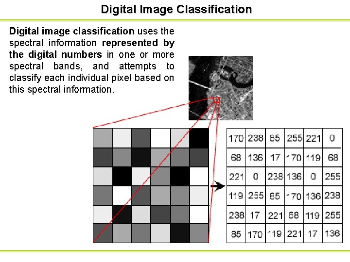 Digital Image Classification Digital image classification uses the spectral information represented by the digital Digital Image Classification Digital image classification uses the spectral information represented by the digital