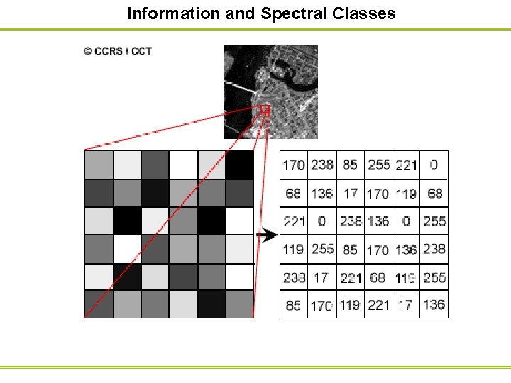 Information and Spectral Classes Information Classes are those categories of interest that the analyst Information and Spectral Classes Information Classes are those categories of interest that the analyst