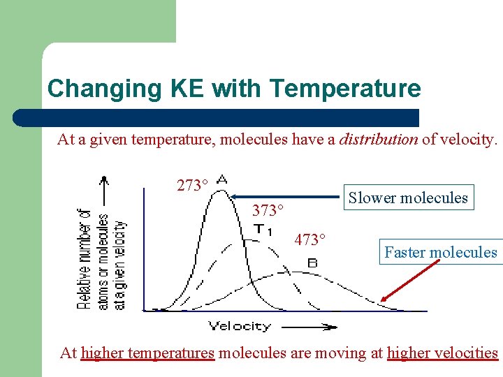 Changing KE with Temperature At a given temperature, molecules have a distribution of velocity.
