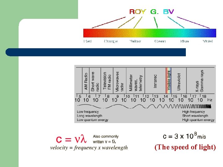 (The speed of light) 
