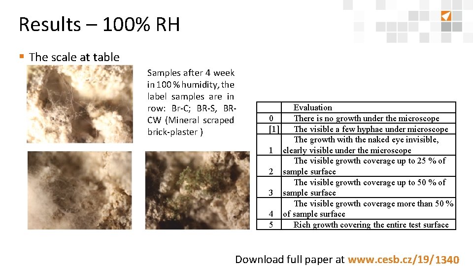 Results – 100% RH § The scale at table Samples after 4 week in