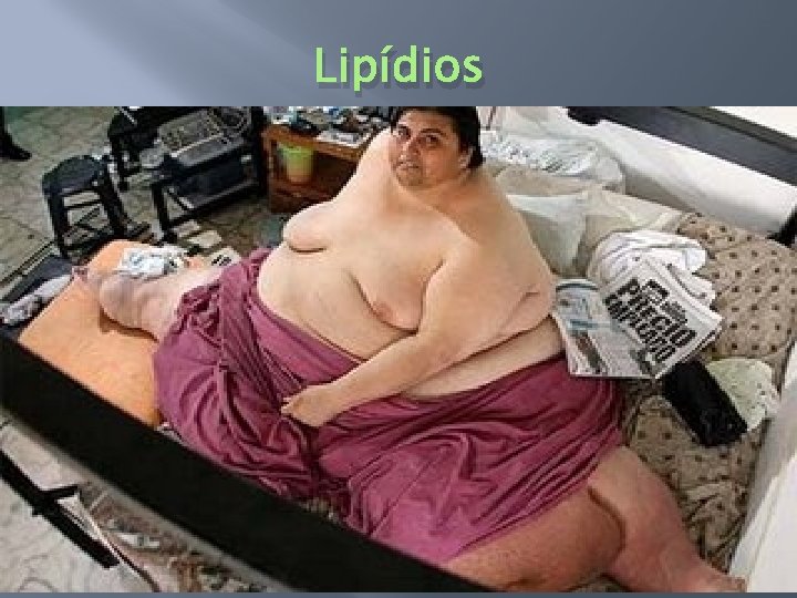 Lipídios 