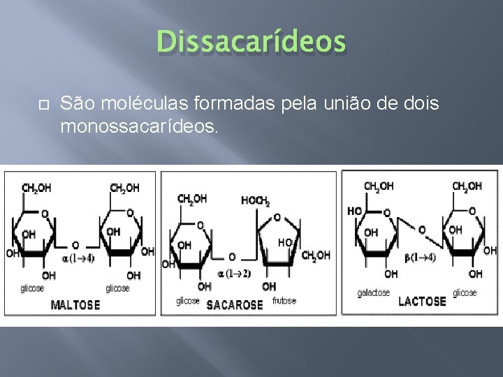 Dissacarídeos São moléculas formadas pela união de dois monossacarídeos. 