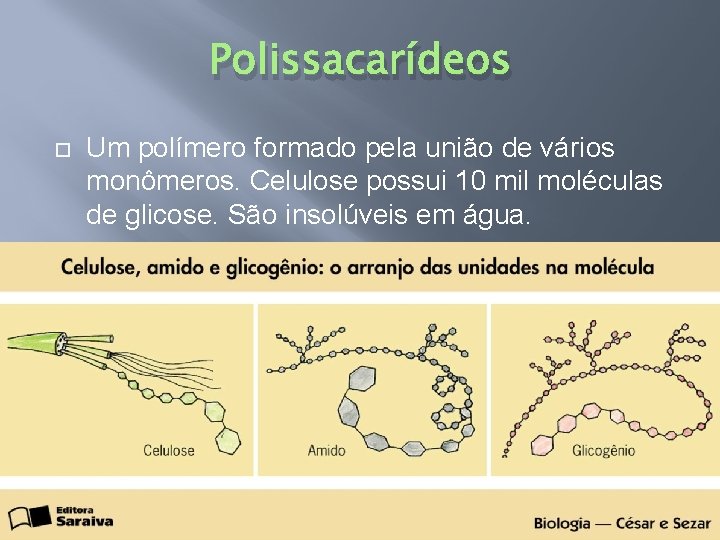Polissacarídeos Um polímero formado pela união de vários monômeros. Celulose possui 10 mil moléculas