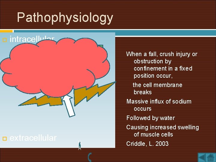 Pathophysiology intracellular Na+ H 2 O Na+ When a fall, crush injury or obstruction