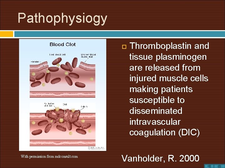 Pathophysiogy With permission from mdconsult. com Thromboplastin and tissue plasminogen are released from injured