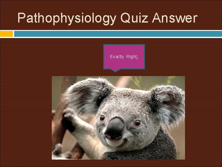 Pathophysiology Quiz Answer Exactly Right! 