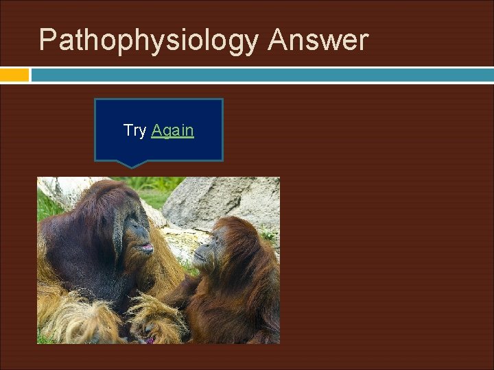 Pathophysiology Answer Try Again 